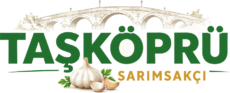 logo yeni